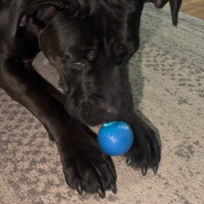 pallina matta per cani